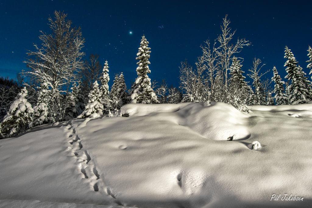 Breidablikk Guesthouse Narvik Luaran gambar